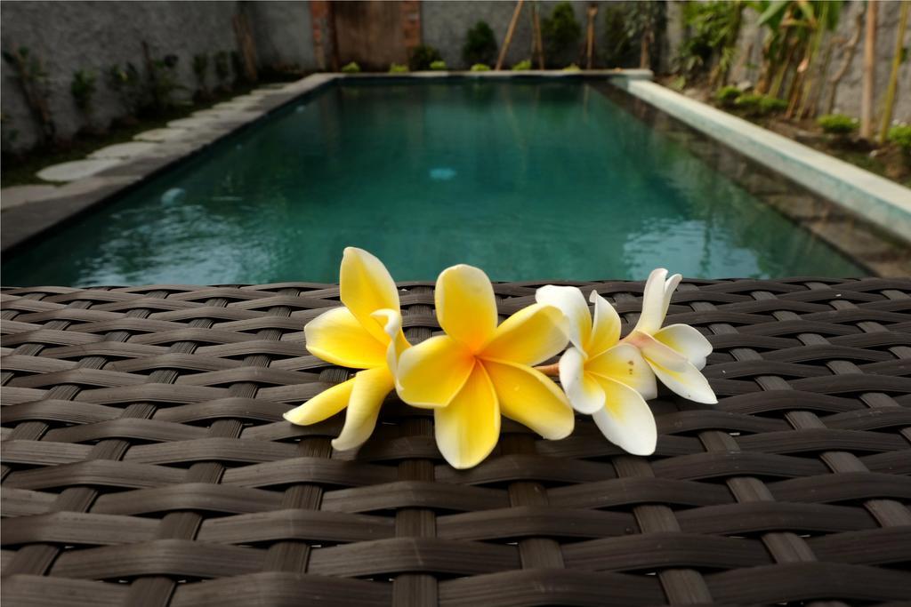 Eka Bali Guest House Ubud  Ngoại thất bức ảnh